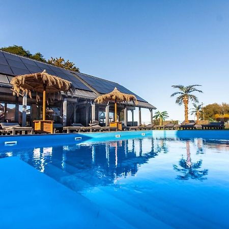 Villa Royal Palm Mielno Mielno  Exterior foto